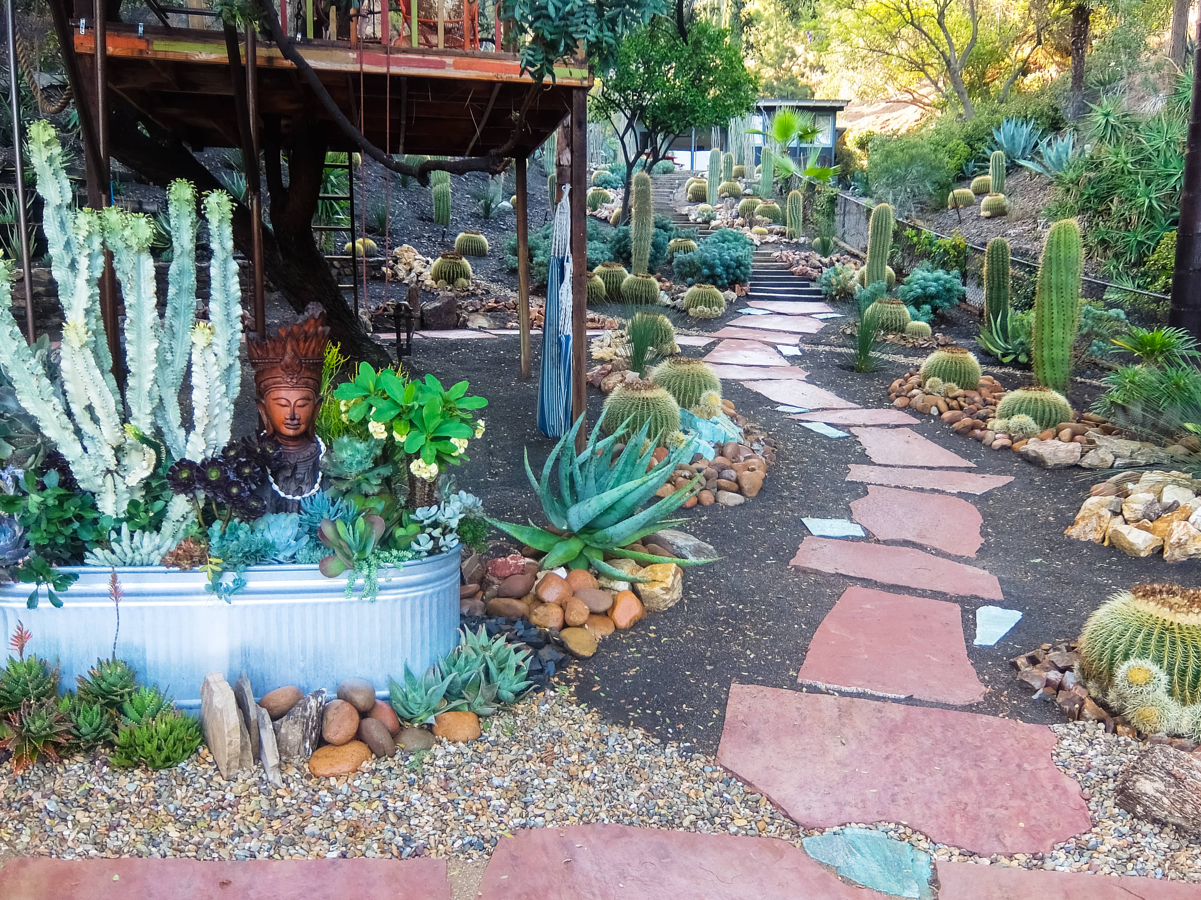 Mandeville Canyon
