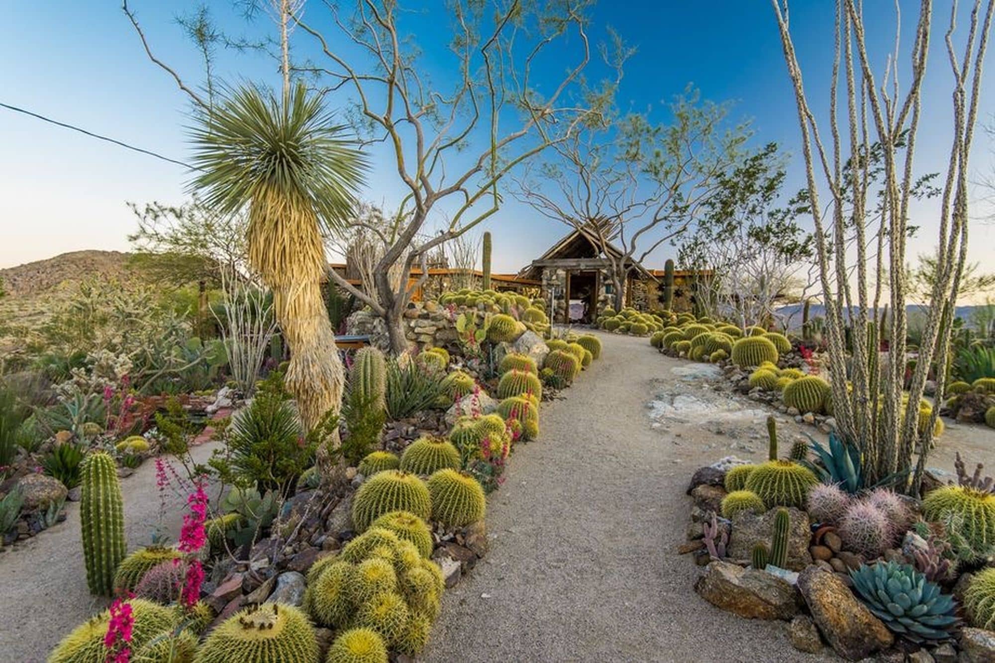 Mojave Rock Ranch